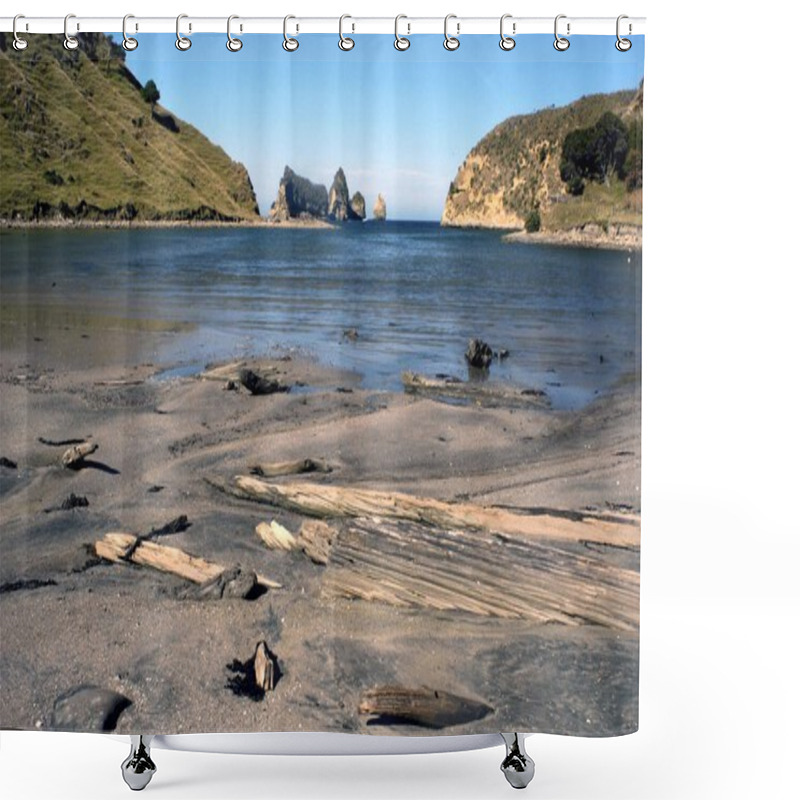 Personality  Beach In New Zealand Shower Curtains