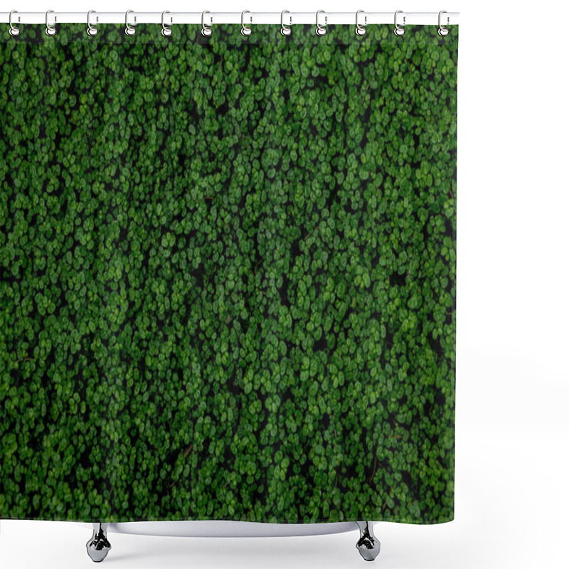 Personality  Full Frame Shot Of Ground Ivy, Textured Background Shower Curtains