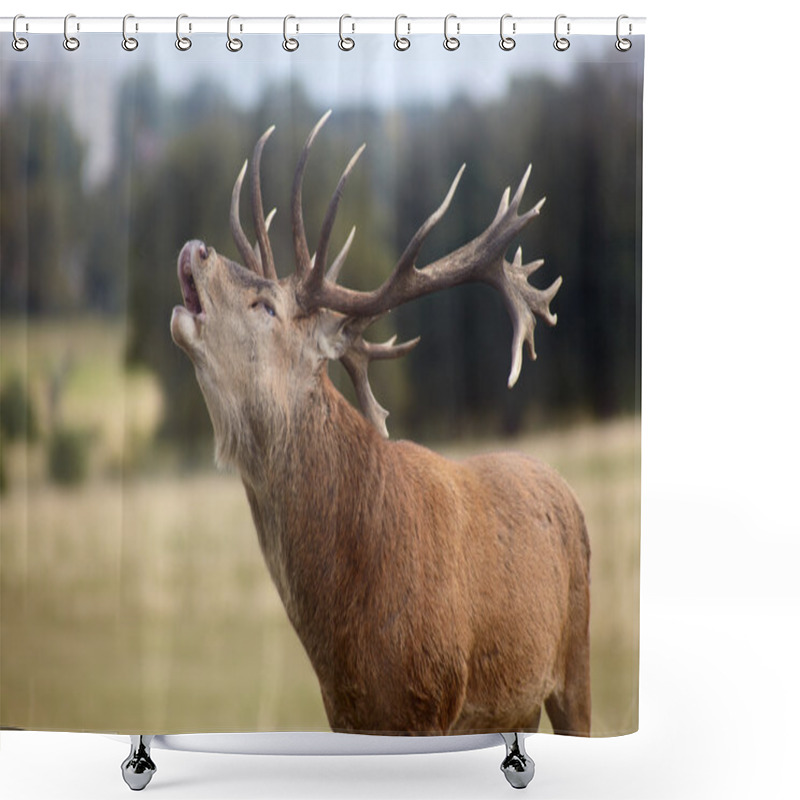 Personality  Roaring Red Deer Shower Curtains