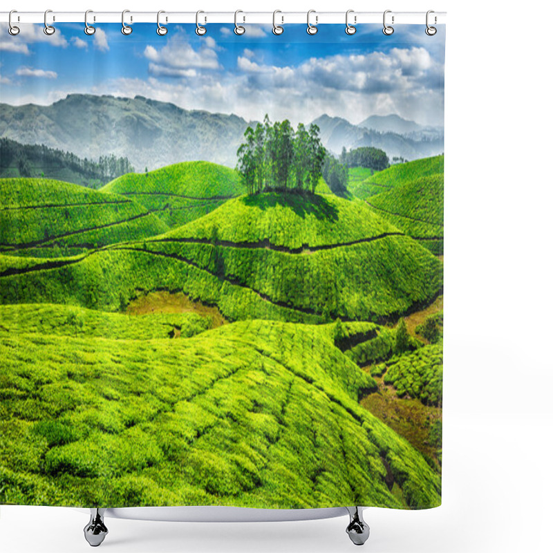 Personality  Green Tea Plantations In India Shower Curtains