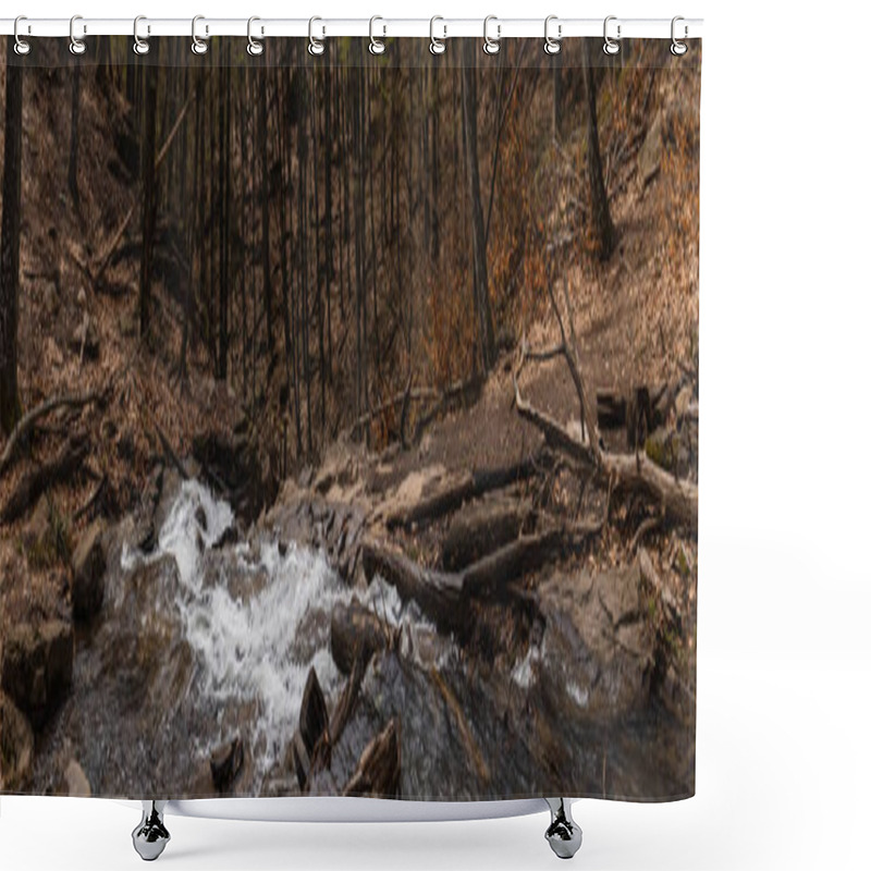 Personality  Mountain Creek Between Trees On Hills In Forest, Banner  Shower Curtains