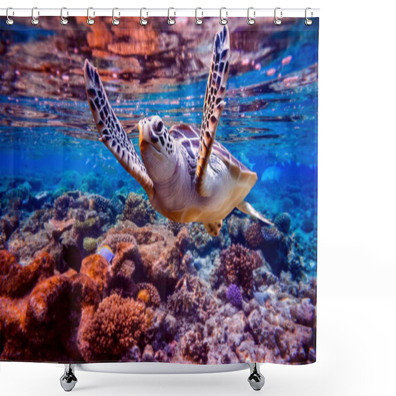 Personality  Sea Turtle Swims Under Water On The Background Of Coral Reefs. Maldives Indian Ocean Coral Reef. Shower Curtains