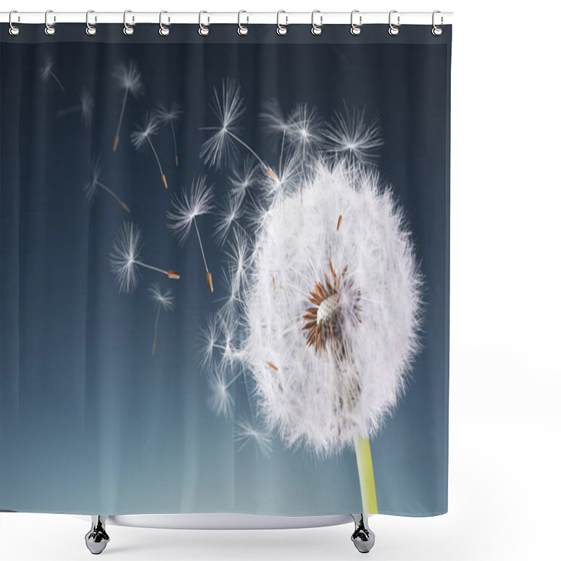 Personality  Dandelion Flying On Blue Background Shower Curtains