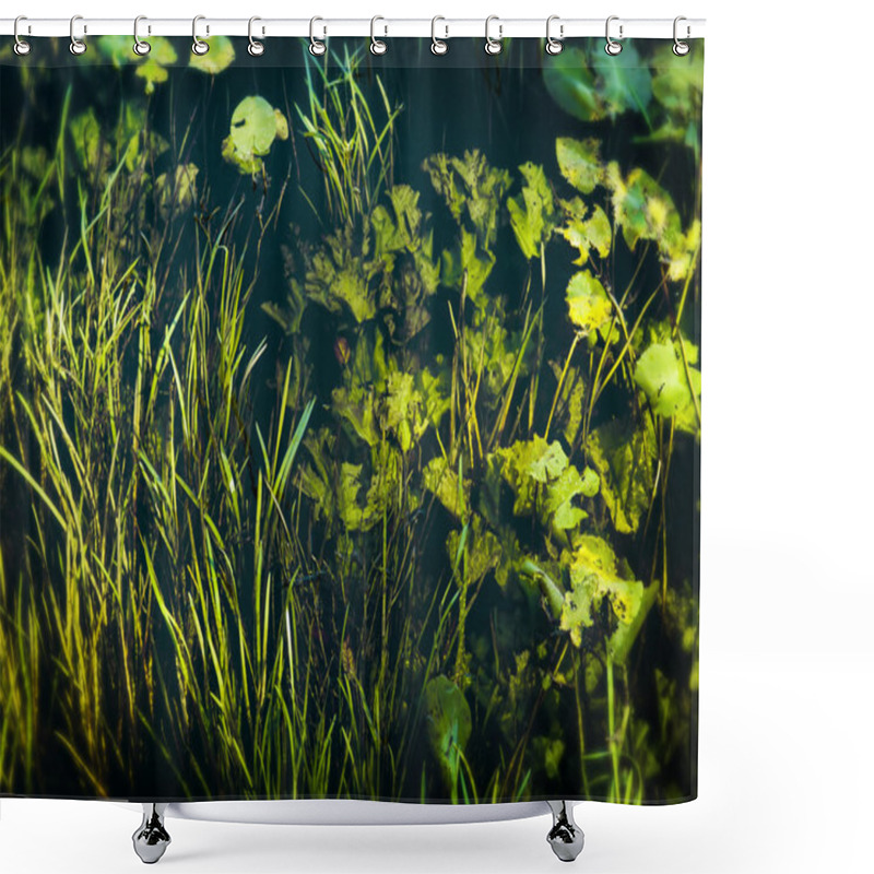 Personality  Underwater 1 Shower Curtains