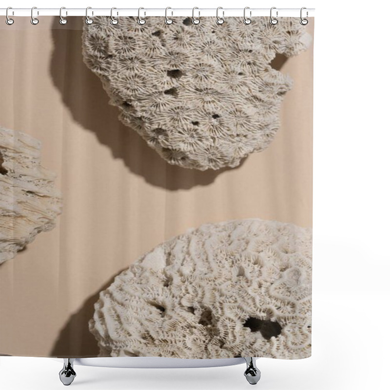 Personality  Textured Coral Pieces On A Soft Beige Background, Showcasing Intricate Natural Patterns. Shower Curtains