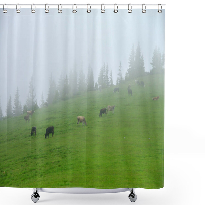 Personality  Cows In The Fog On A Mountain Pasture With Silhouettes Of Fir Trees On The Horizon, Ukrainian Carpathians Shower Curtains