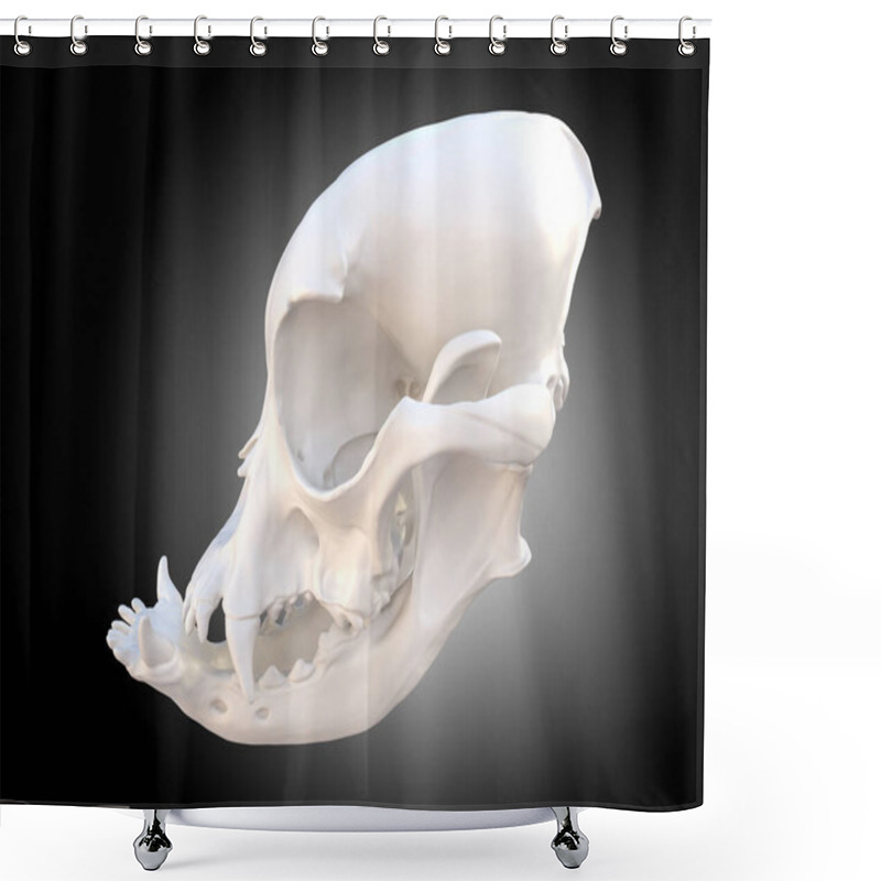 Personality  Canine Dog Skull Skeleton, French Bulldog Dog With Brachycephalic Features, Side View 3d Illustration Shower Curtains