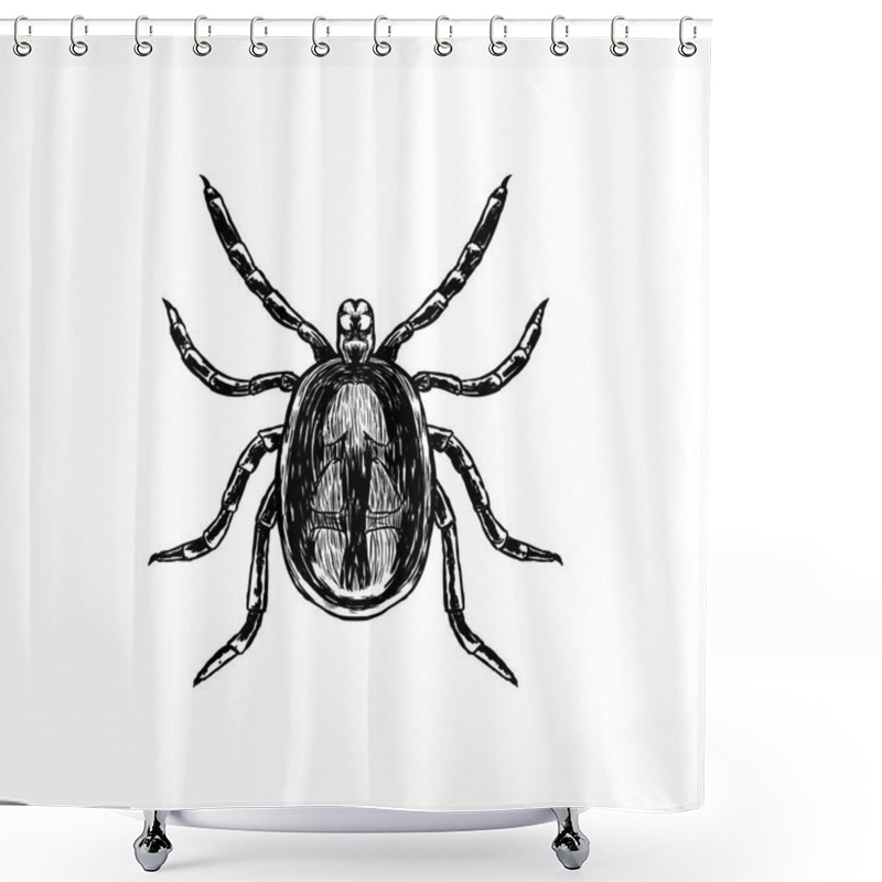 Personality  Hand Drawn Sketch Of Mite. Top View. Vector Illustration. Shower Curtains