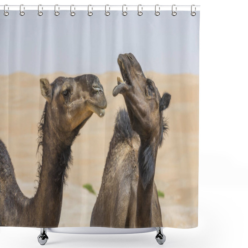 Personality  Camels In Liwa Desert Shower Curtains