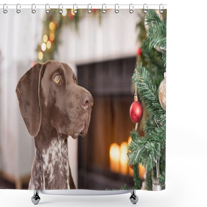 Personality  Close Up Of Dog And Ornaments With Fire Place In The Background Shower Curtains