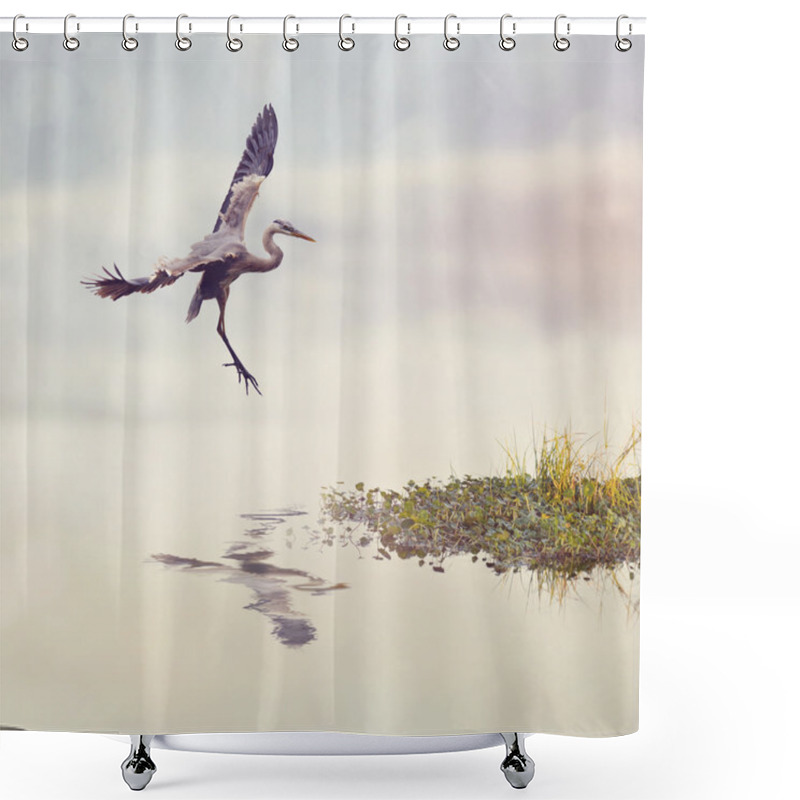 Personality  Great Blue Heron In Flight Shower Curtains