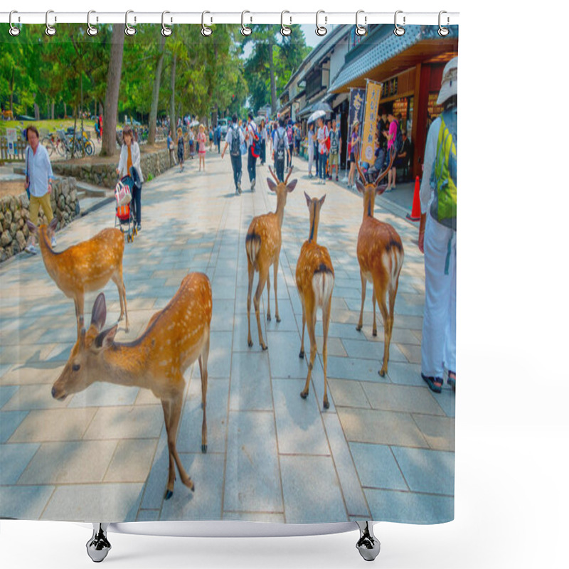 Personality  Nara, Japan - July 26, 2017: Unidentified People Walking Around With Some Wild Deers In Nara Park In Japan. Nara Is A Major Tourism Destination In Japan - Former Capita City And Currently UNESCO World Shower Curtains