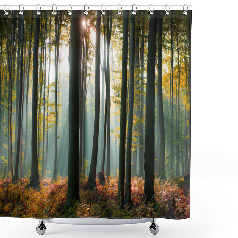 Personality  Beautiful Morning Sunbeams In Misty Forest Shower Curtains