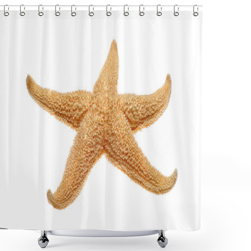 Personality  Close-up Starfish Shower Curtains