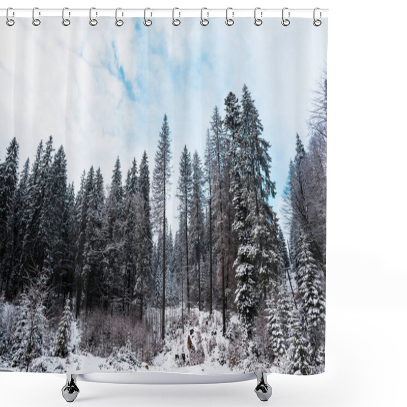 Personality  Scenic View Of Pine Forest With Tall Trees Covered With Snow Shower Curtains