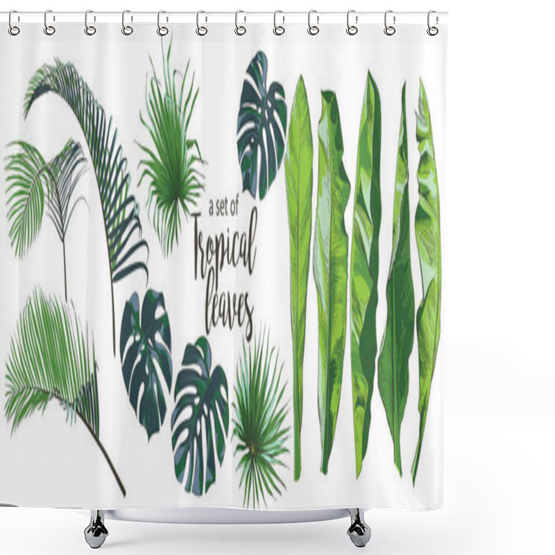 Personality  Vector Tropical Palms, Plants, Leaf, Foliage, Monstera Shower Curtains