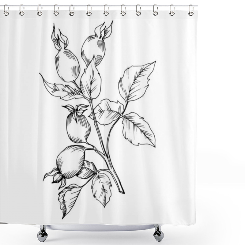 Personality  Rose Hip Branch With Fruit Botanical Foliage. Black And White Engraved Ink Art. Isolated Rosehip Illustration Element. Shower Curtains