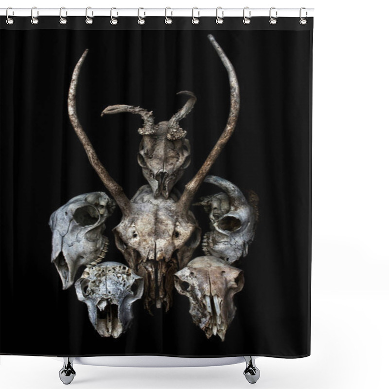 Personality  Abstract Ram Sheep Deer Skull  Shower Curtains