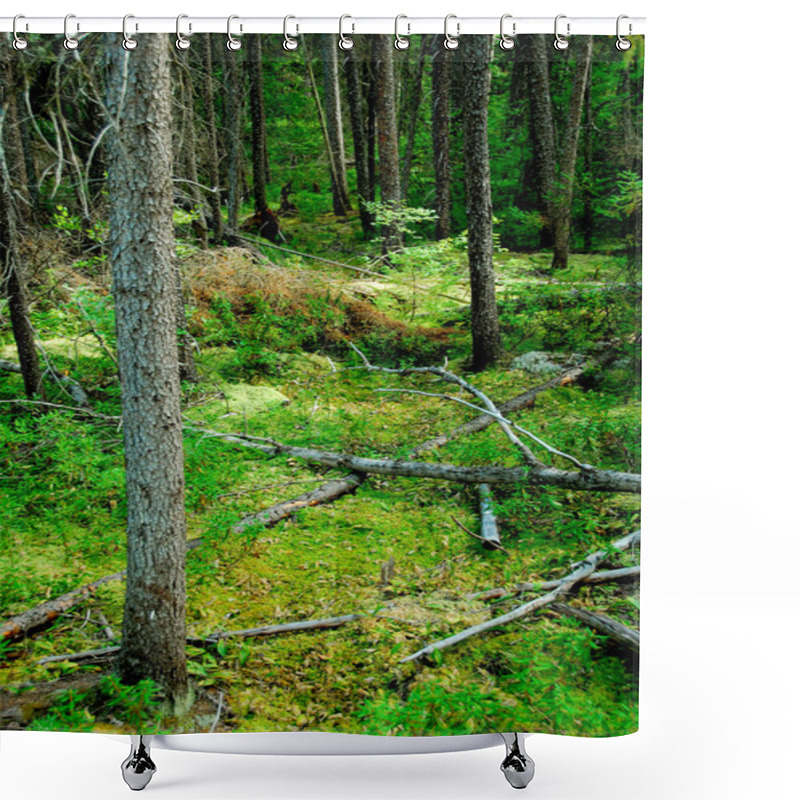 Personality  Wilderness Dark Green Forest Shower Curtains