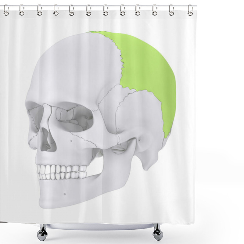 Personality  Human Skull Parietal Bone Shower Curtains