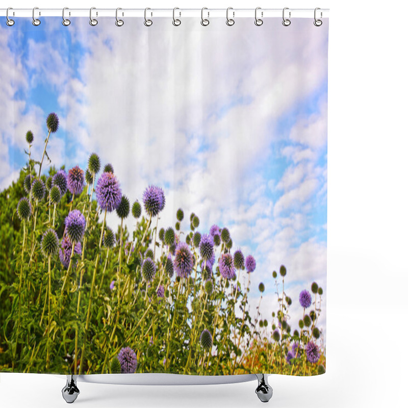 Personality  Great Globe Thistle, Echinops Sphaerocephalus Shower Curtains