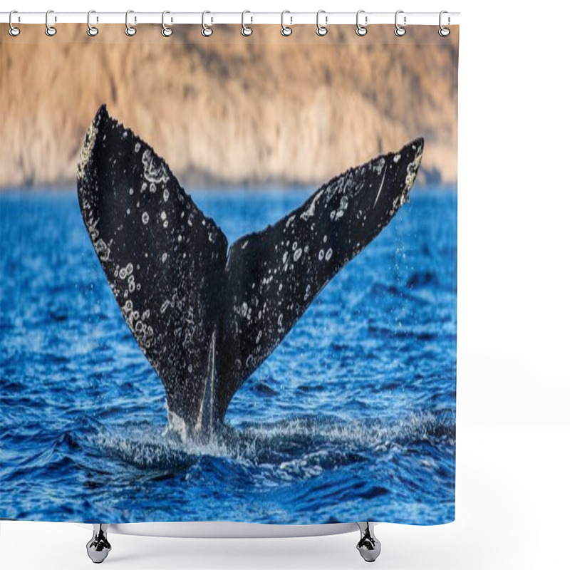 Personality  Tail Of Humpback Whale Shower Curtains