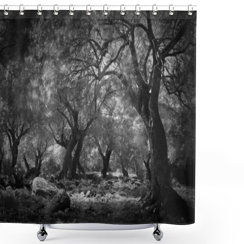 Personality  Mysterious Dark Forest Shower Curtains