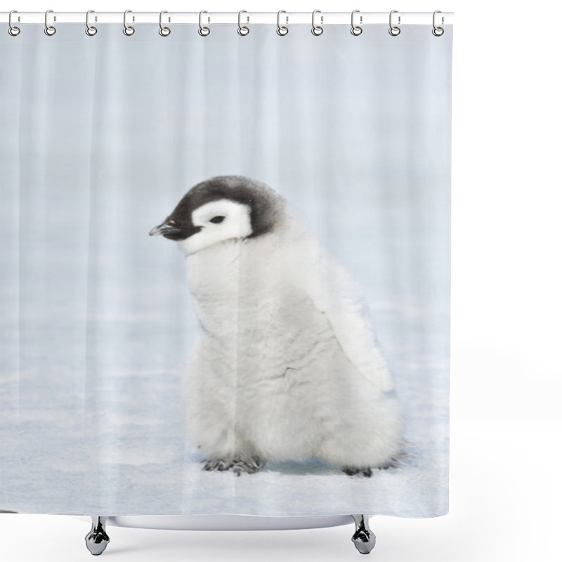 Personality  Emperor Penguin Shower Curtains