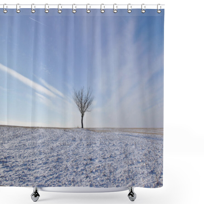 Personality  Lonely Tree In Winter Shower Curtains