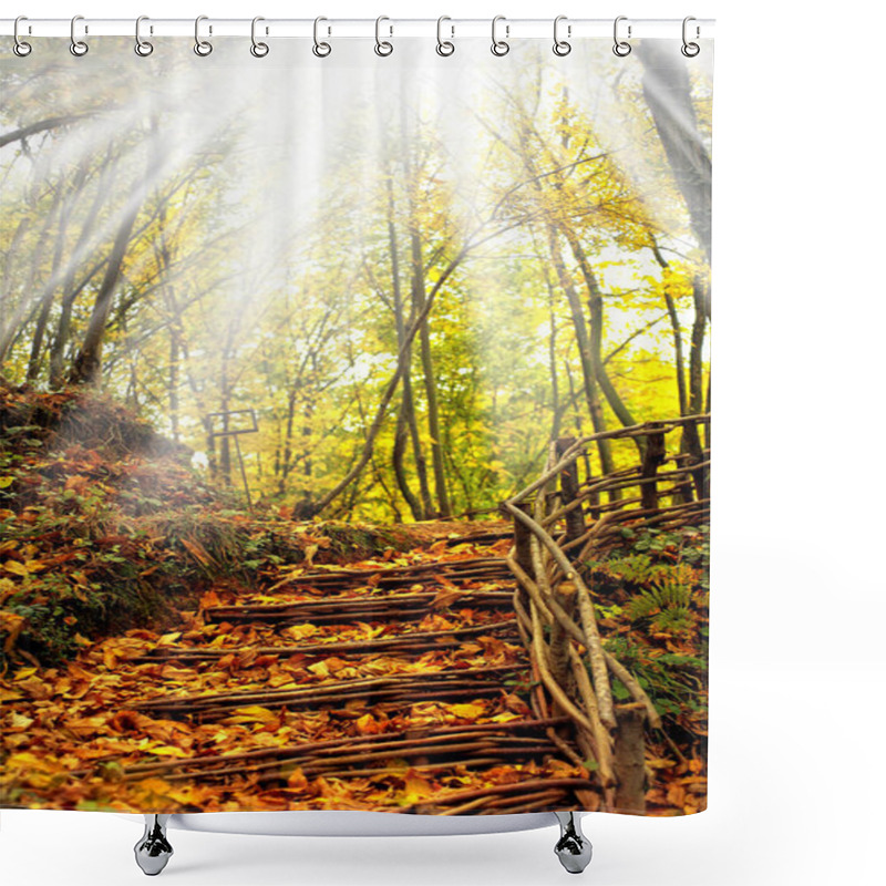 Personality  Autumn Leaves, Fall Season Foliage Shower Curtains