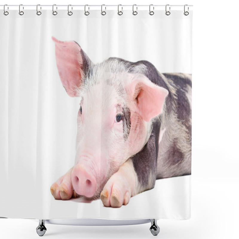 Personality  Portrait Of The Pig Shower Curtains