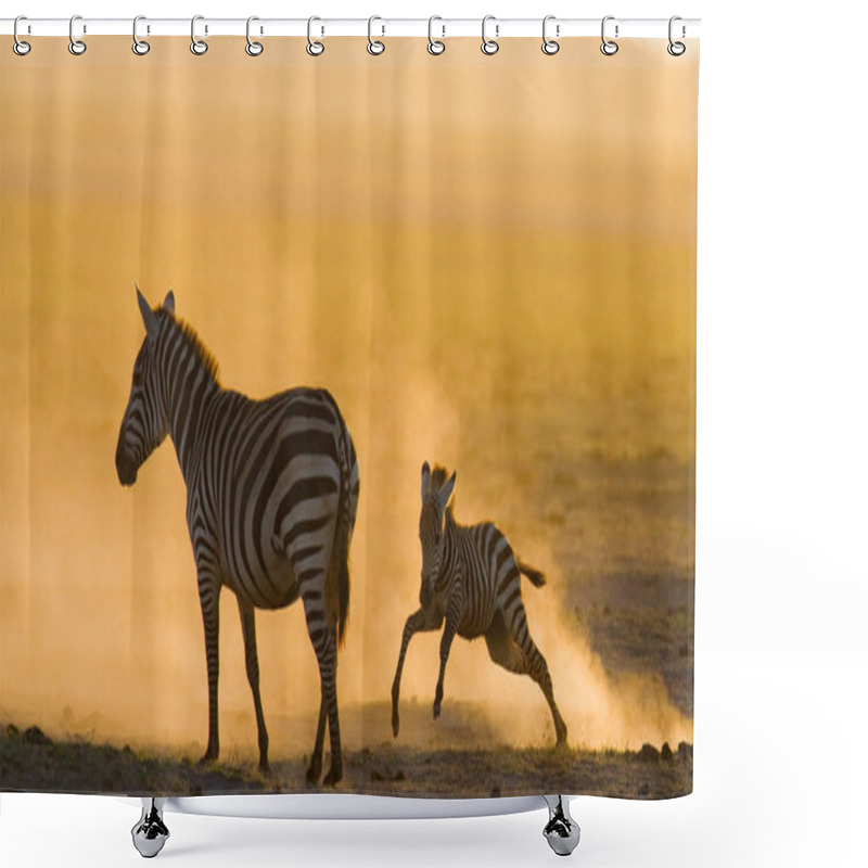 Personality  Zebra With Baby In The Dust Shower Curtains