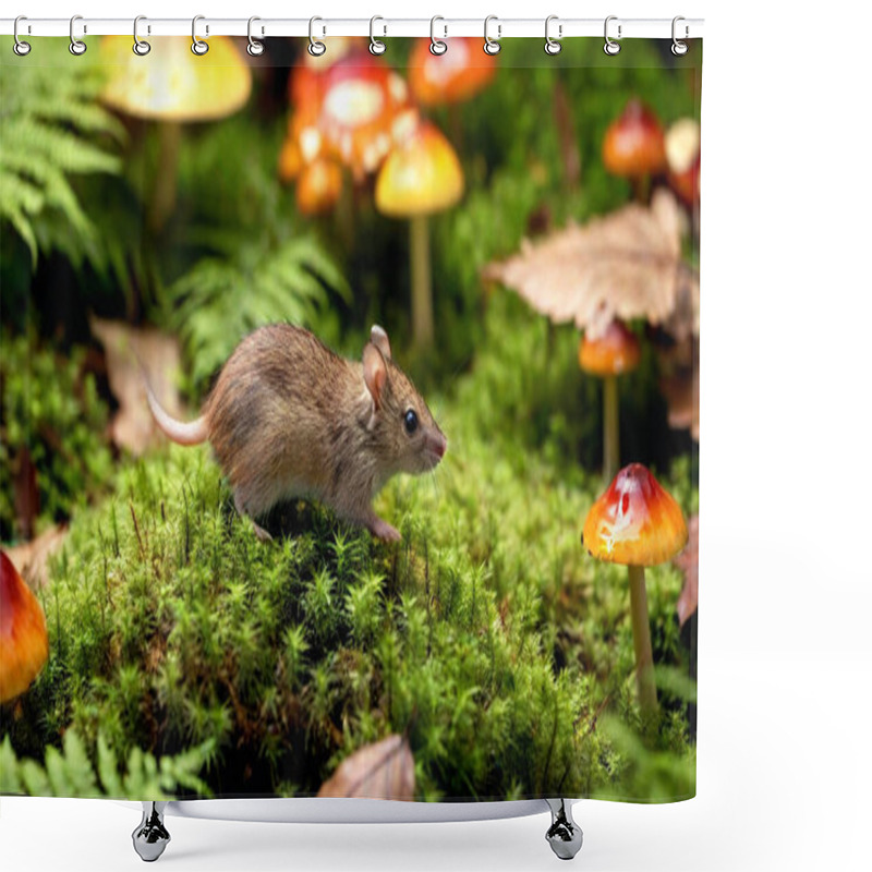 Personality  Design A Scene With A Tiny Mouse Scurrying Through A Leaf Pile, Surrounded By Colorful Mushrooms And Ferns. Shower Curtains