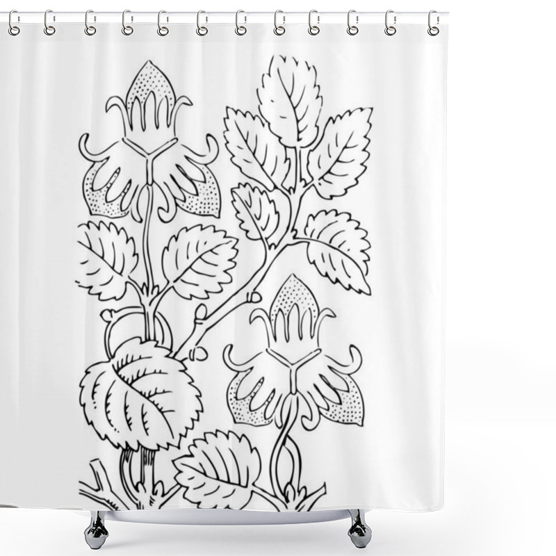 Personality  Hand Drawn Bouquet Of Chamomile Flowers Isolated On Black Background, Black And White Colors. Vector Illustration Shower Curtains