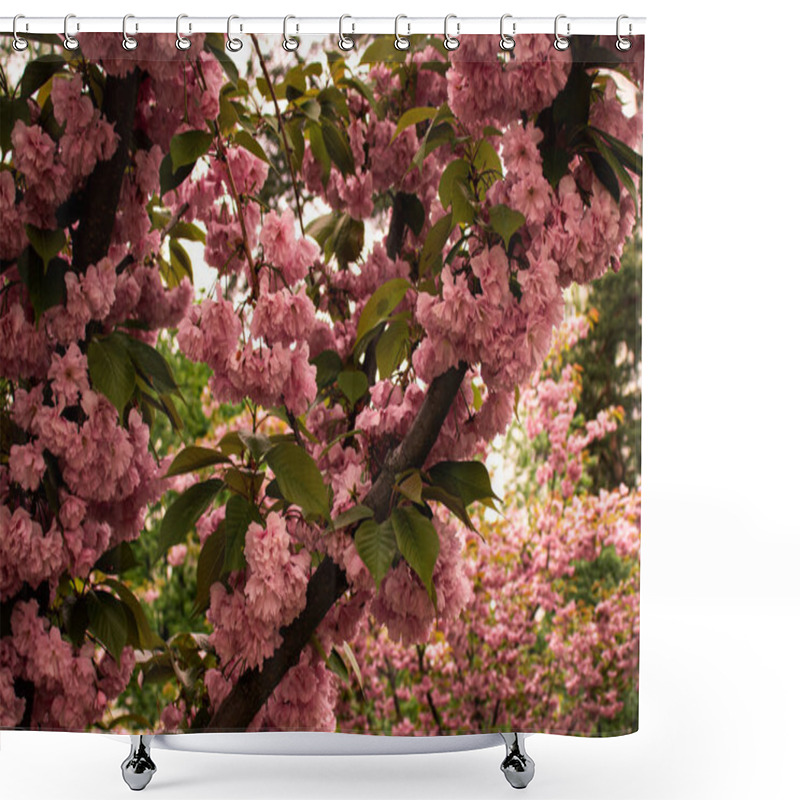 Personality  Branches Of Sakura In Full Bloom With Delicate Pink Flowers, Creating A Peaceful And Picturesque Scene. A Stunning Representation Of Spring And Renewal In Nature. Shower Curtains