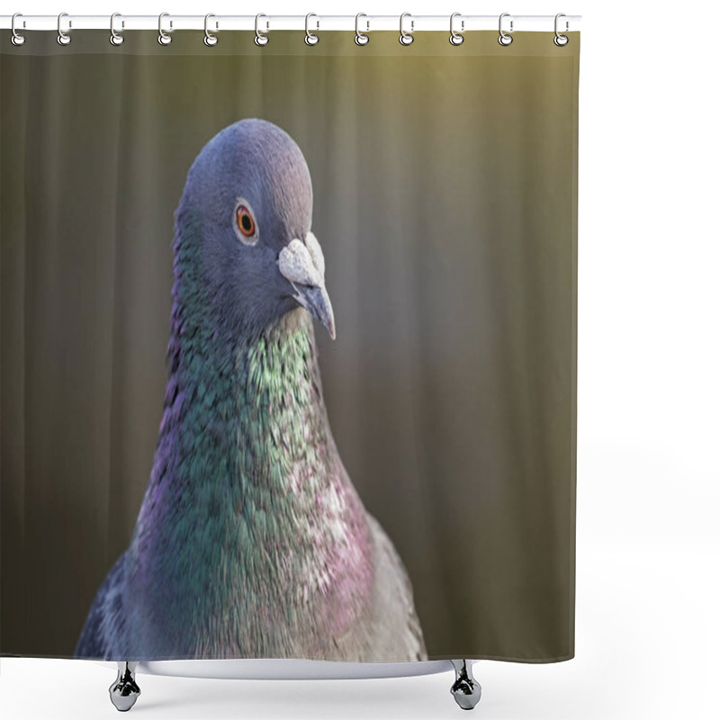 Personality  Wild Pigeon In Nature Shower Curtains