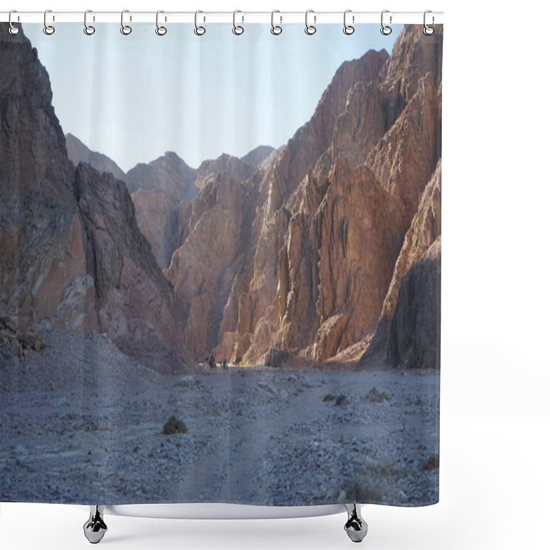 Personality  Camels Against The Background Of Mountains In The Picturesque Surroundings Of Dahab, South Sinai Governorate, Egypt   Shower Curtains