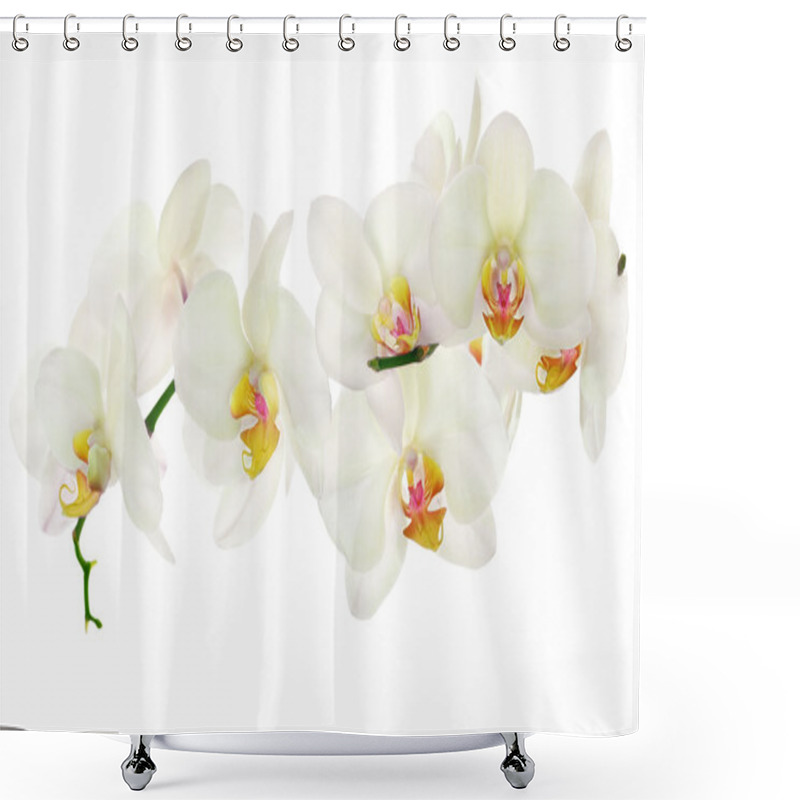 Personality  Lot Of Light Yellow Isolated Orchids Shower Curtains