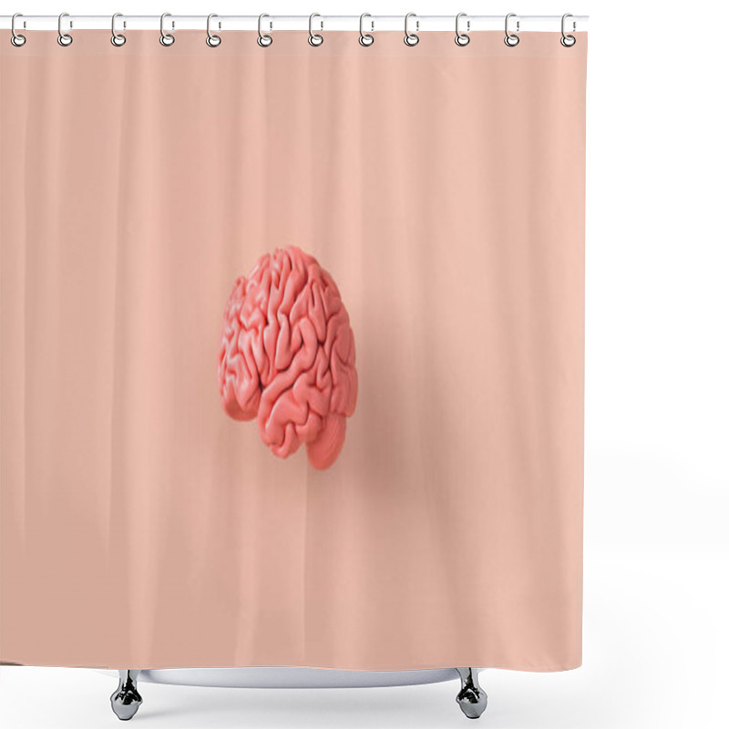 Personality  Human Brain Anatomical Model, Medical Concept Image Shower Curtains