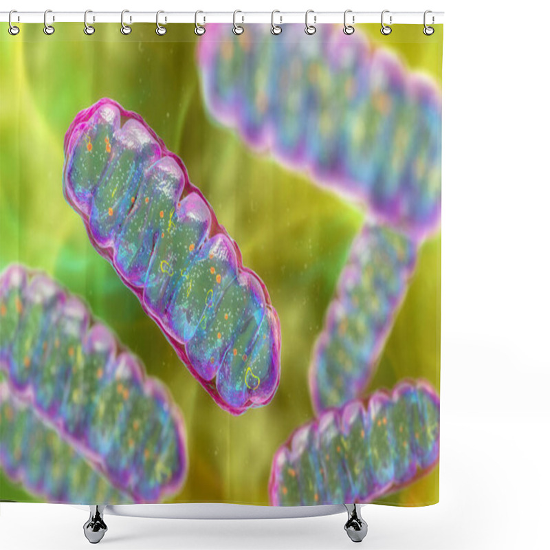 Personality  Mitochondria, A Membrane-enclosed Cellular Organelles Producing Energy, 3D Illustration Shower Curtains