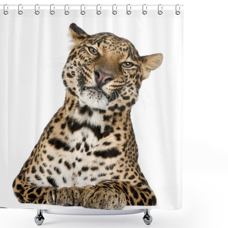 Personality  Leopard, Panthera Pardus, Lying In Front Of White Background Shower Curtains