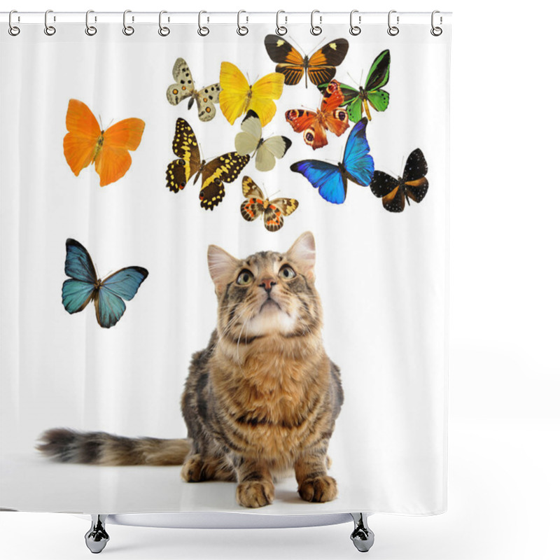 Personality  Young Norwegian Cat And Butterfly Shower Curtains