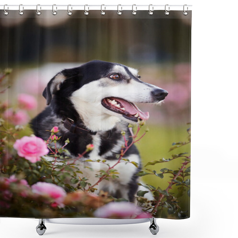 Personality  Portrait Of A Dog In Roses. Shower Curtains