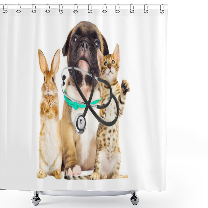 Personality  Puppy And Kitten And Rabbit Together Shower Curtains