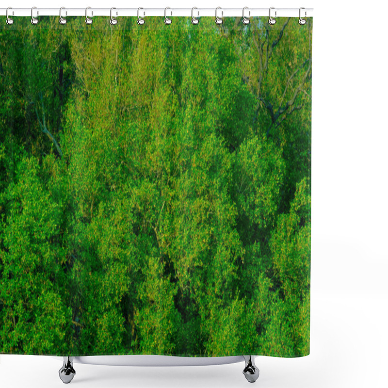 Personality  A Dense Canopy Of Mangrove Trees With Vibrant Green Foliage, Showcasing The Beauty Of Tropical Ecosystems. The Image Captures The Importance Of Mangroves In Coastal Protection, Biodiversity Conservation, And Environmental Sustainability Shower Curtains