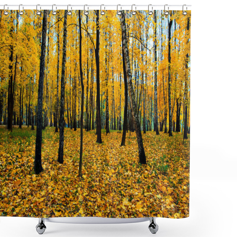 Personality  Beautiful Vivid Autumn Forest Shower Curtains