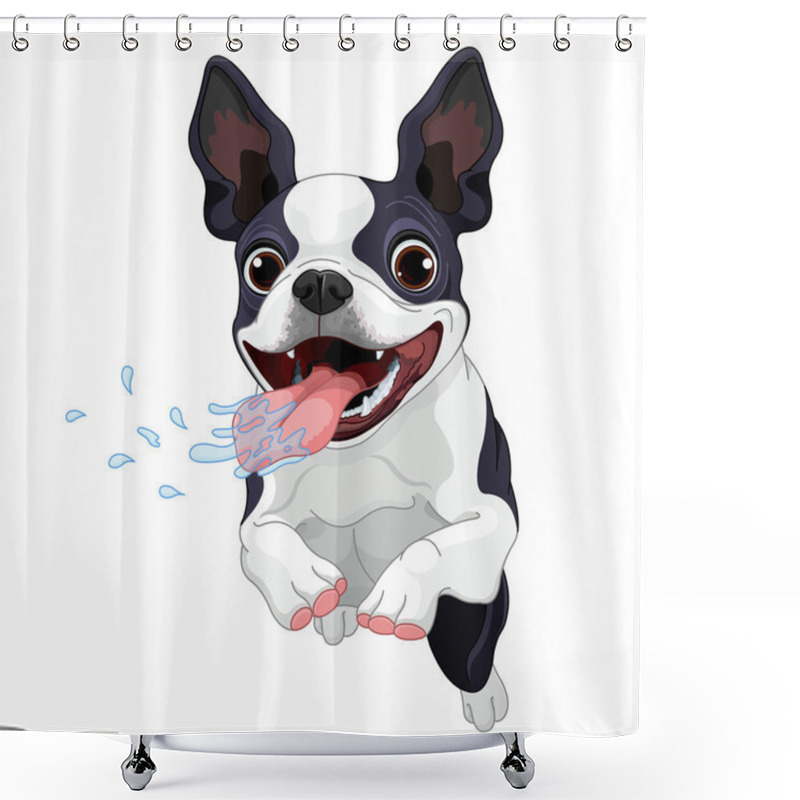 Personality  Cute Boston Terrier Shower Curtains