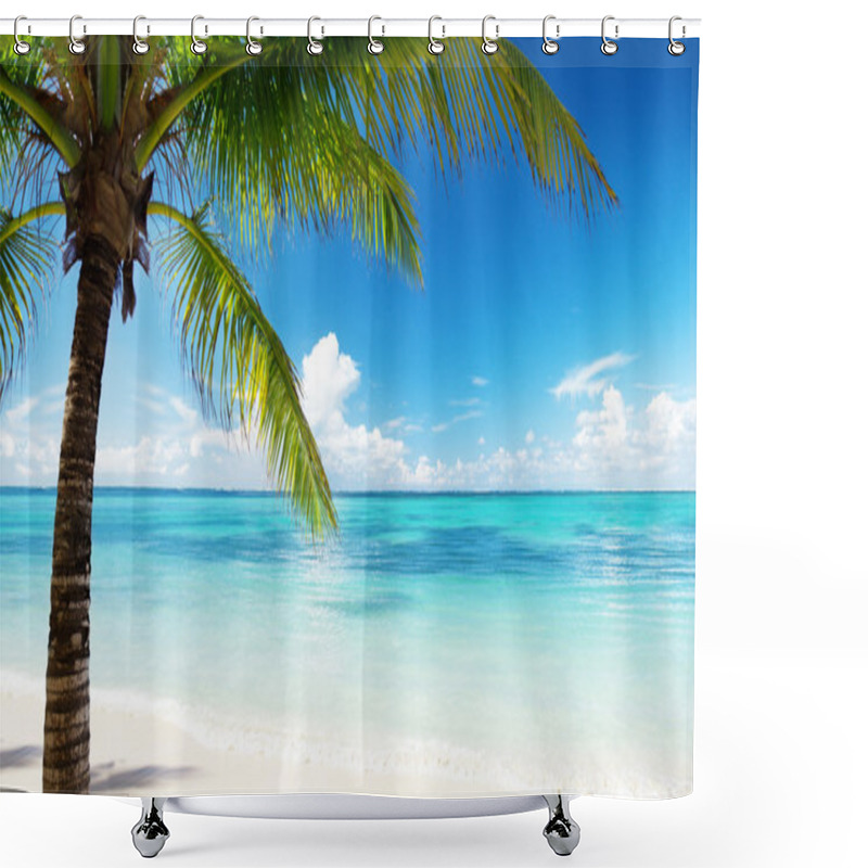 Personality  Palm And Sea Shower Curtains