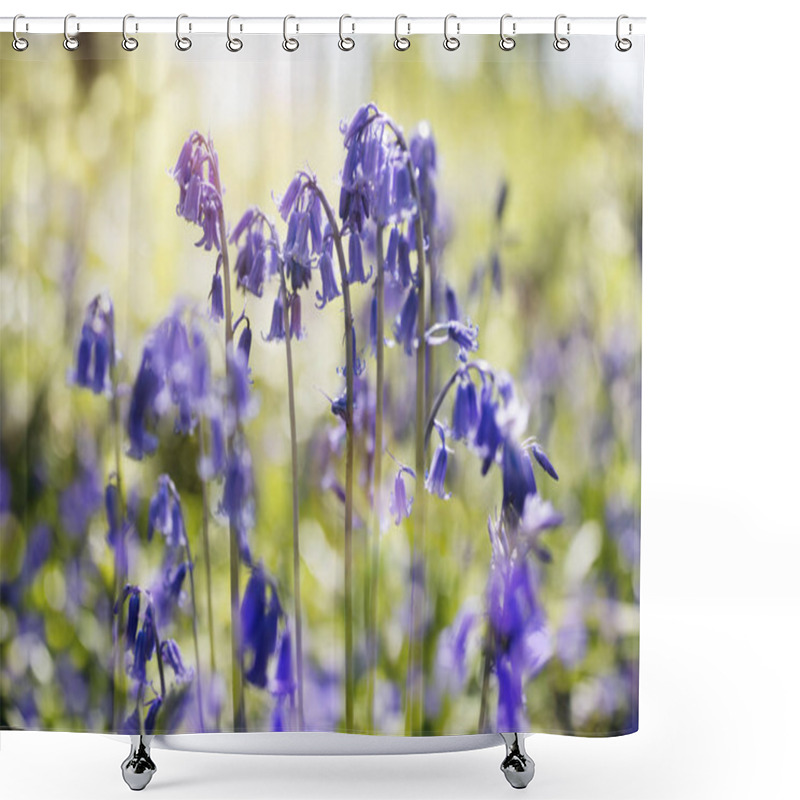 Personality  Bluebells In Spring Forest Shower Curtains