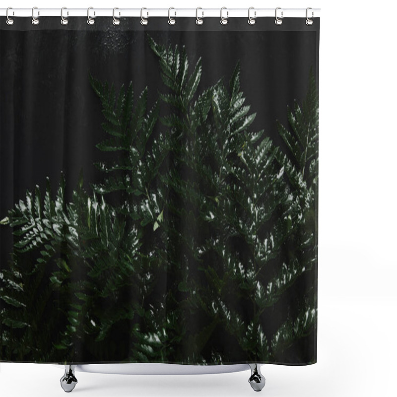 Personality  Close-up View Of Beautiful Green Wet Fern On Black  Shower Curtains